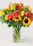 Autumn Blooms