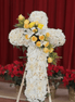 White & Yellow Cross - Flower World